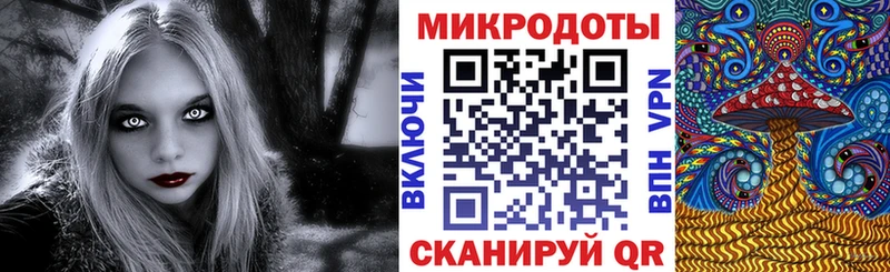 Псилоцибиновые грибы Psilocybine cubensis  Улан-Удэ 